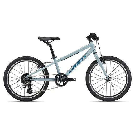 Biztonságos fizetés GIANT ARX 20 gyermek cross/gravel kerékpár - Soap Suds