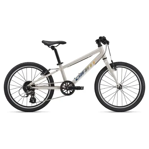 Biztonságos fizetés GIANT ARX 20 gyermek cross/gravel kerékpár - Mushroom