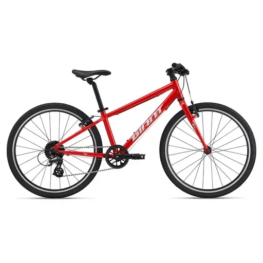Expressz kézbesítés GIANT ARX 24 gyermek cross/gravel kerékpár - Phoenix Fire