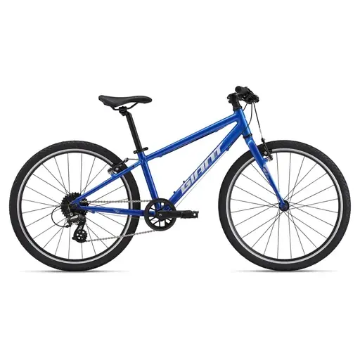 Expressz kézbesítés GIANT ARX 24 gyermek cross/gravel kerékpár - Cobalt